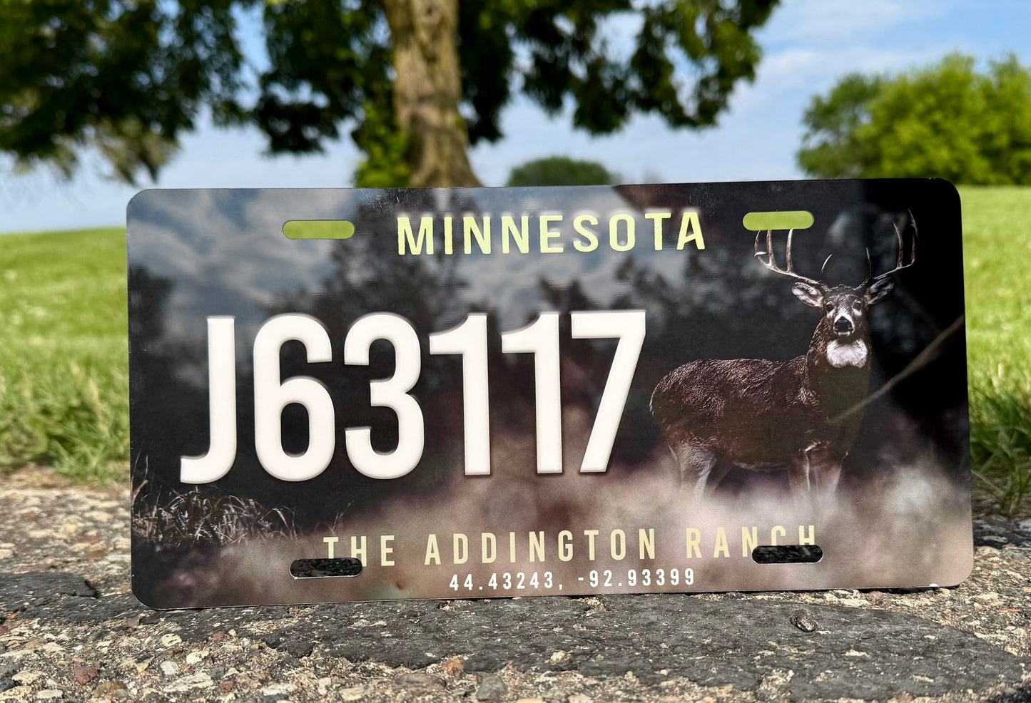 ATV/UTV Custom License Plate