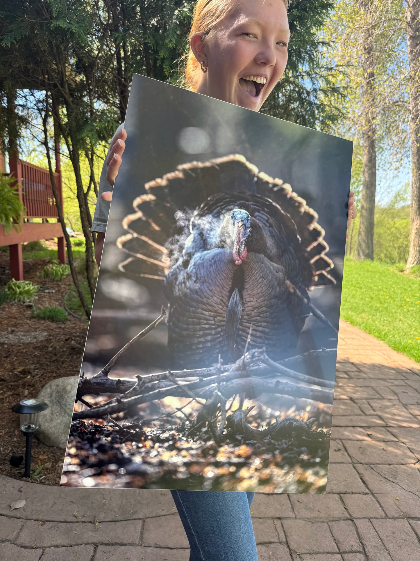 Metal Prints