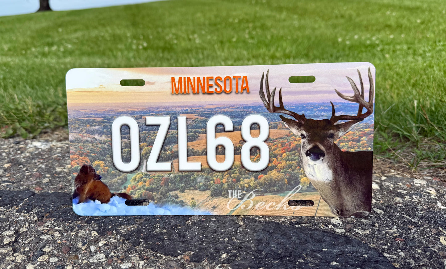 ATV/UTV Custom License Plate